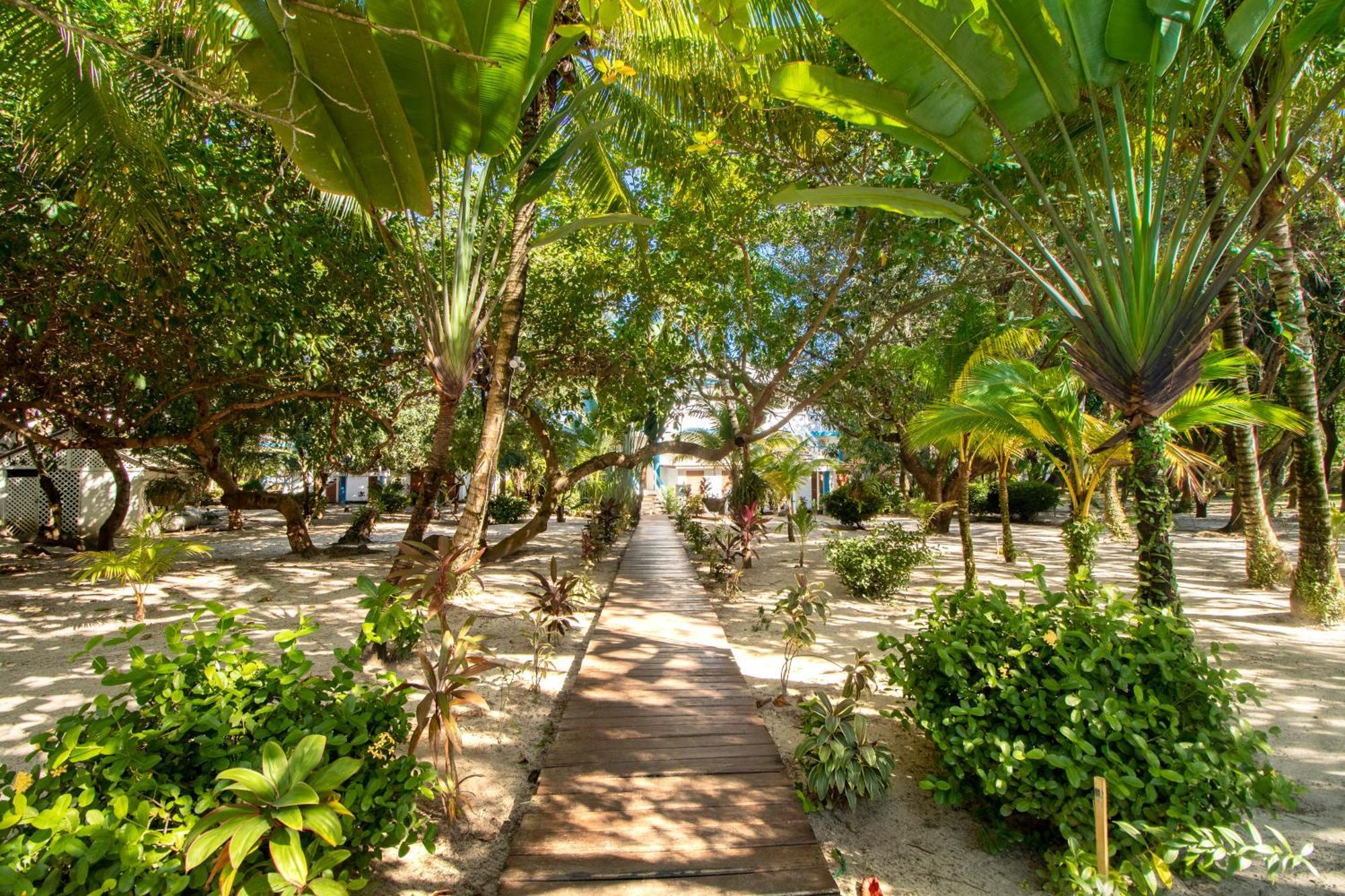 Condo #24 @ Beachside Villas Placencia Экстерьер фото